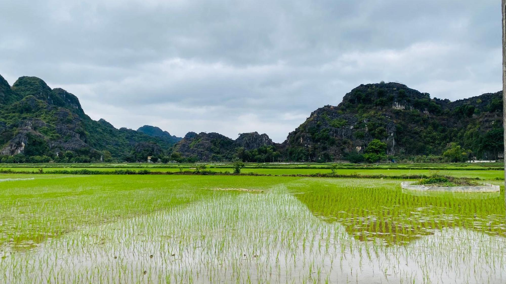 Ohayo Tam Coc Homestay 닌빈 외부 사진